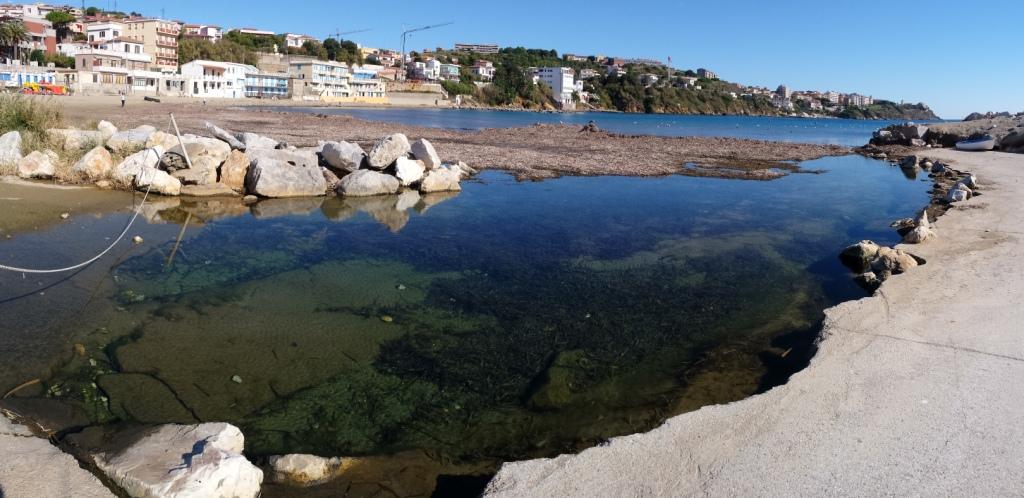 Rio Salivoli (Piombino) - rospi smeraldini in citt!